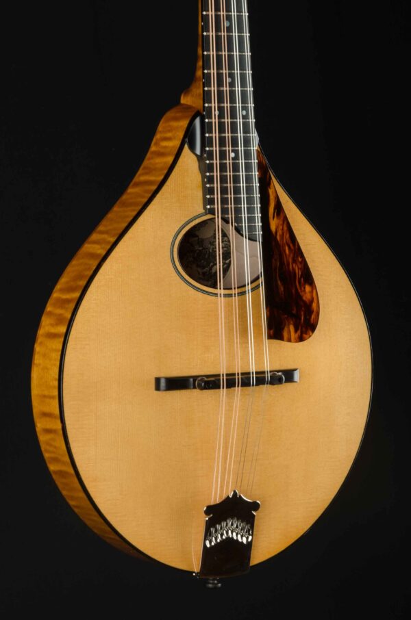 Collings MT O GT HT 4160 (13)