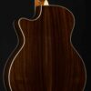 Martin GPC Custom Indian Rosewood