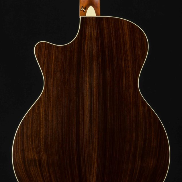 Martin GPC Custom Indian Rosewood and Sitka Spruce Full Gloss with ...