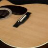Martin GPC Custom Indian Rosewood