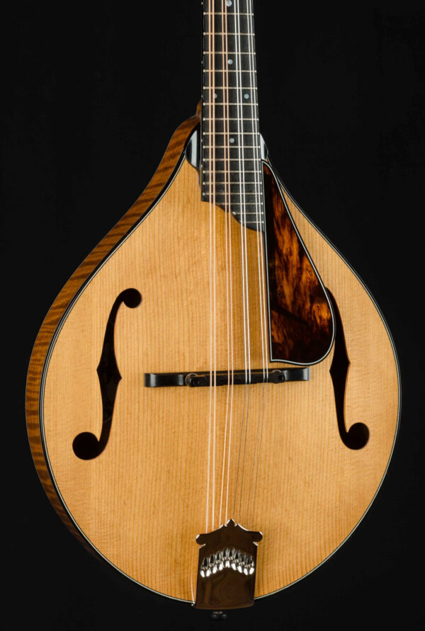 Collings MT2 w-pkgd #A4140-23