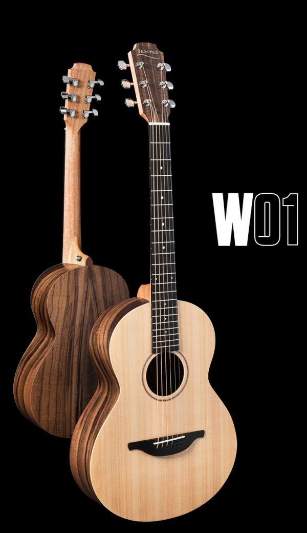 弦付き Sheeran by Lowden W-02ケー ス、付属品有 Sheeran By Lowden