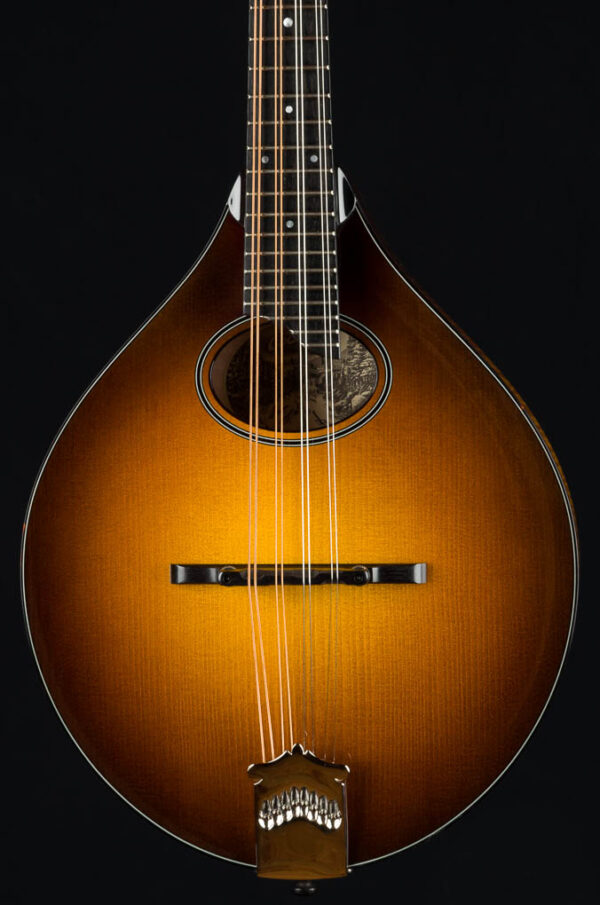 collings mt2 o mandolin for sale