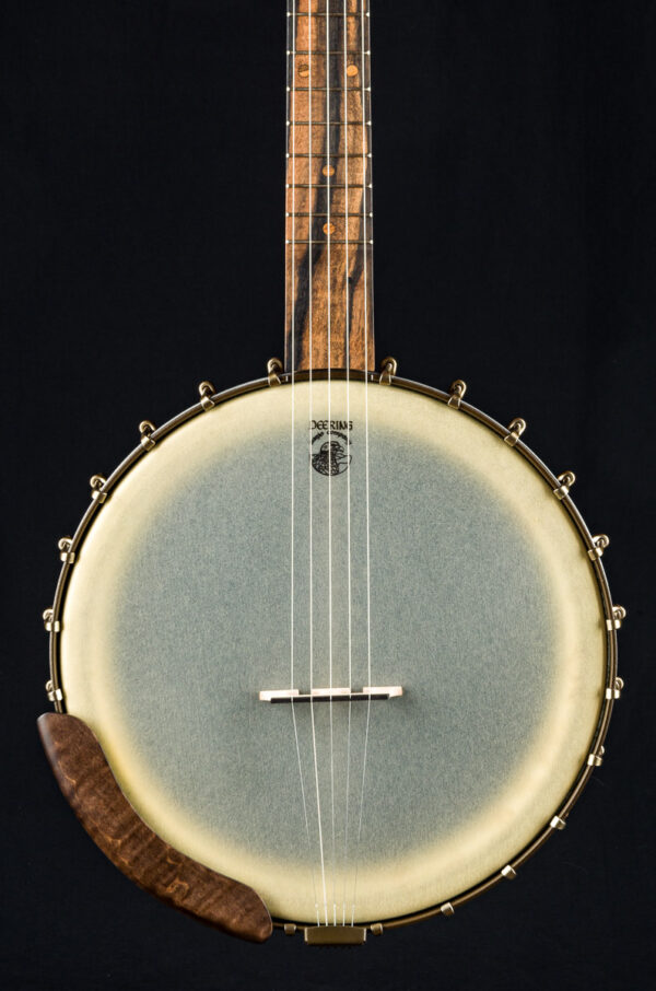 Vega Vintage Star Old Time Open Back 5-String Banjo with 12″ Pot 