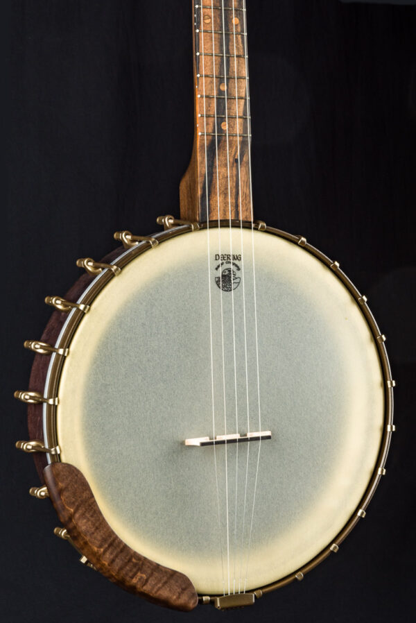 Vega Vintage Star Old Time Open Back 5-String Banjo with 12″ Pot