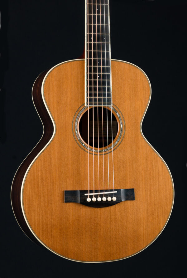 Santa Cruz Firefly 204 (17)
