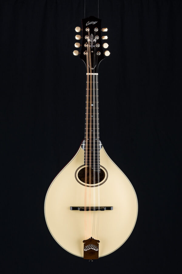 Collings octave deals mandolin