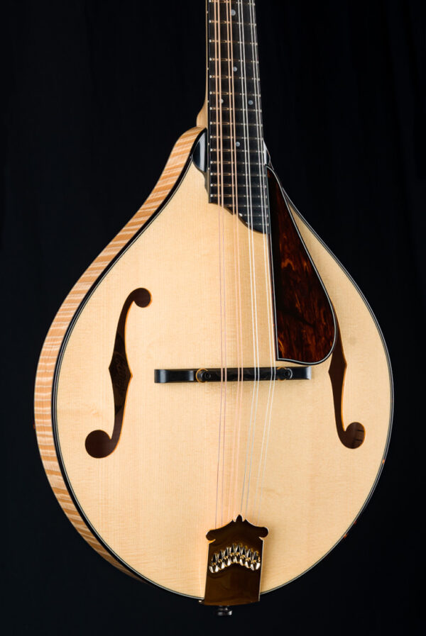Collings MT2 Blonde Italian Spruce 4485 (3)