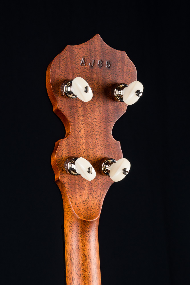 Deering Sierra Mahogany Custom 5-String Banjo with Radiused Fretboard and  Tapered Resonator