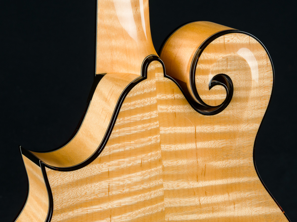 Collings MF5 Blonde Full Gloss Mandolin with Pickguard | Down Home