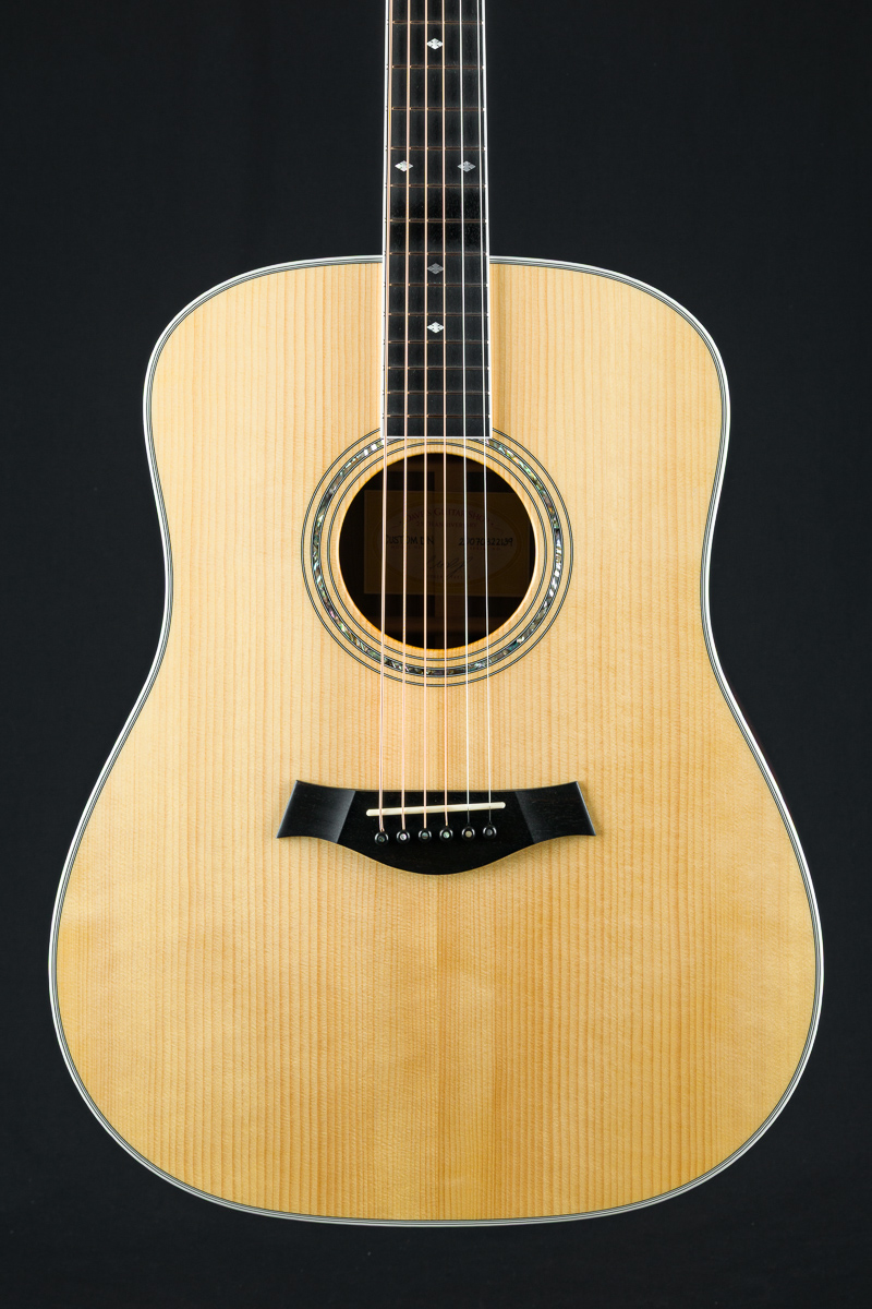 Taylor DN Custom Brazilian Rosewood and Adirondack Spuce Used