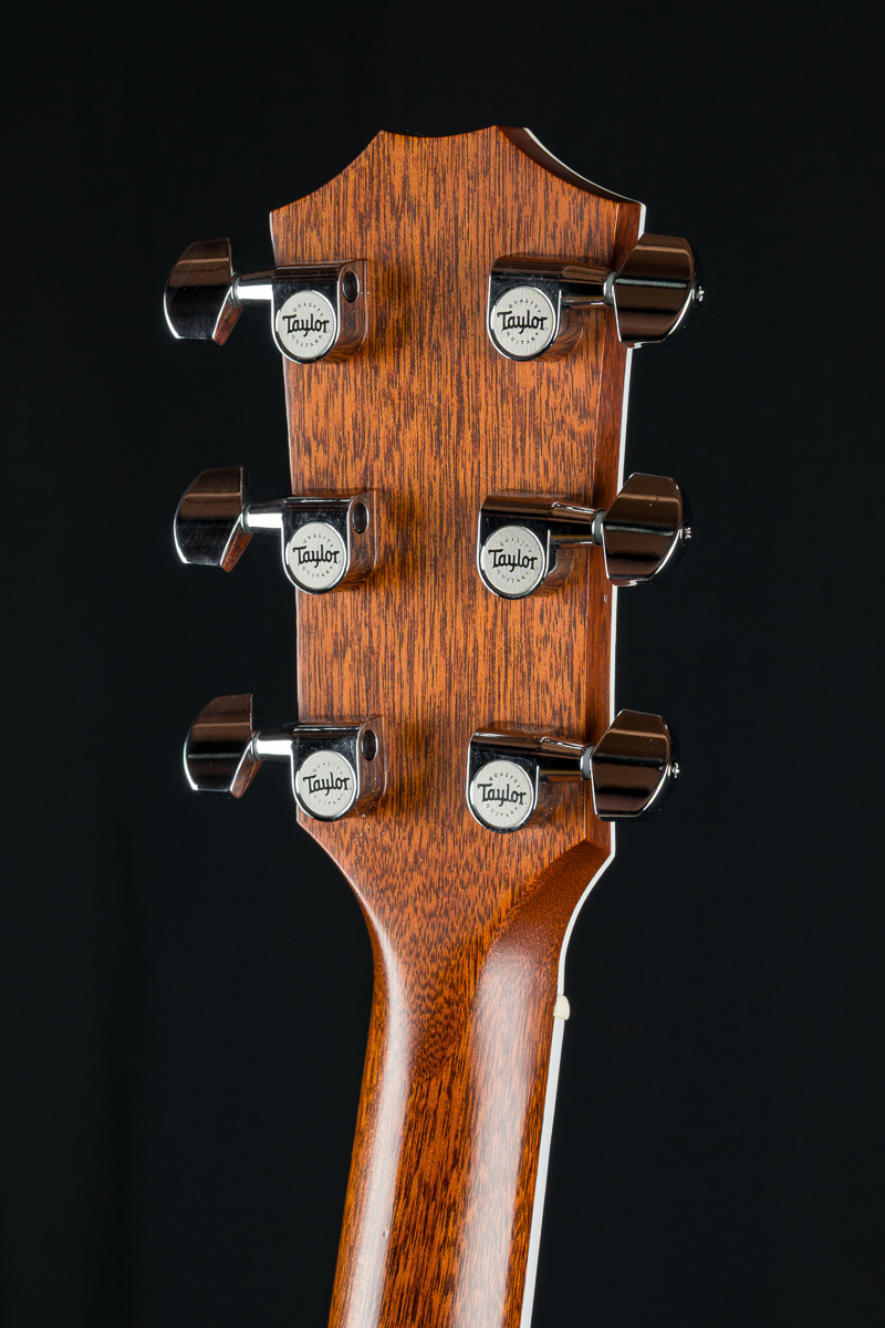 Taylor DN Custom Brazilian Rosewood and Adirondack Spuce Used