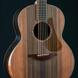 George Lowden Luthier Master Series F African Blackwood and Sinker Redwood with Maple Neck