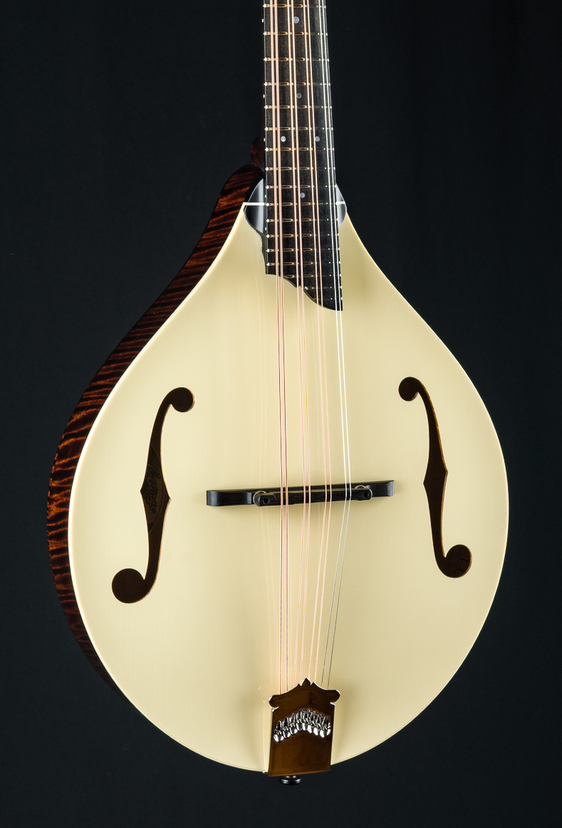 Collings MT Mandola Cream Top DHG 4768 (17)
