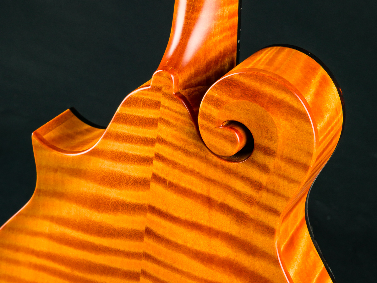 Collings MF-O Gloss Top Honey Amber Adirondack Spruce and Flamed