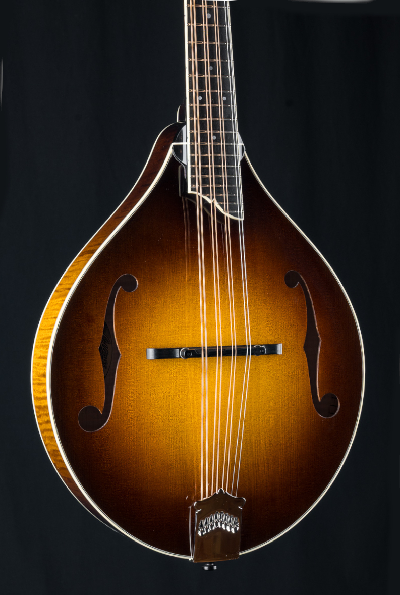 Collings MT2 Mandola DHG 4607 (10)