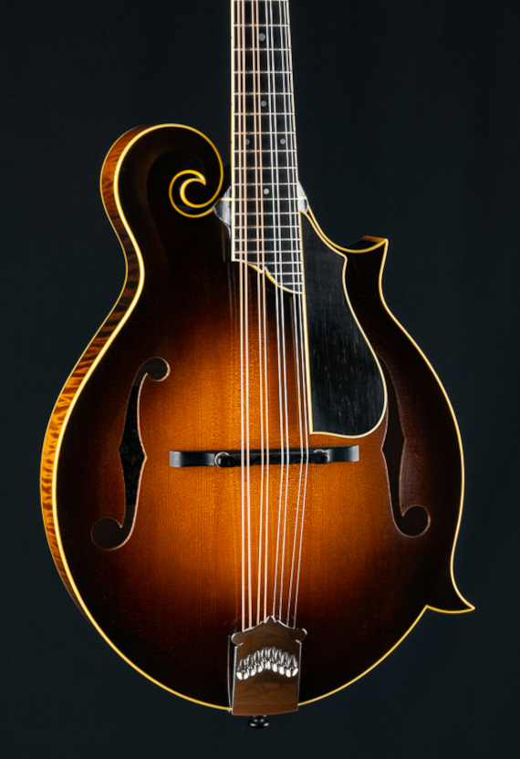 Collings MF5 V 482 (9) Collings MF5 V 482 (9)