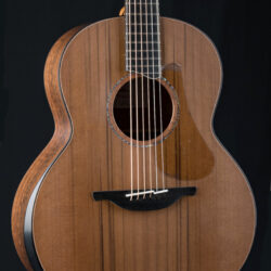 Lowden F-50 Tasmanian Tiger Myrtle and Red Cedar Custom
