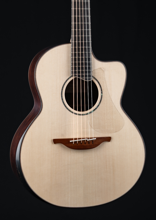 Lowden Pierre Bensusan DHG 29110 (9)