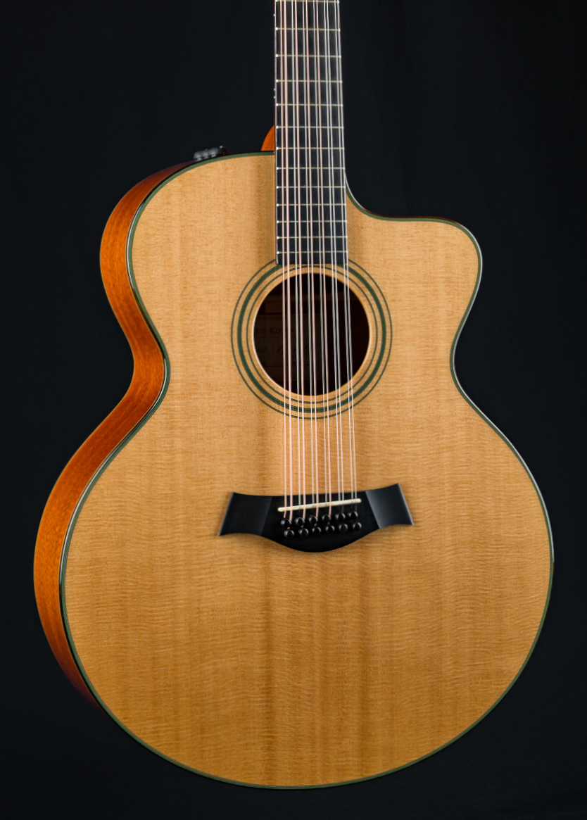 Taylor LKSM Leo Kottke 12str used #2009112152-13 Taylor LKSM Leo Kottke 12str used #2009112152-13