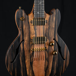 Lowden GL-J Custom Premium Ebony Top Semi-Hollow Jazz Model With Falling Leaf Inlays