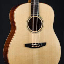 Goodall RS Standard Adirondack Spruce and Indian Rosewood Used (2024)