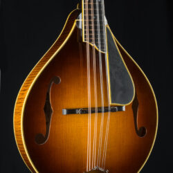 Collings MT2 V Varnish Sunburst Adirondack Spruce and Flamed Maple Mandolin